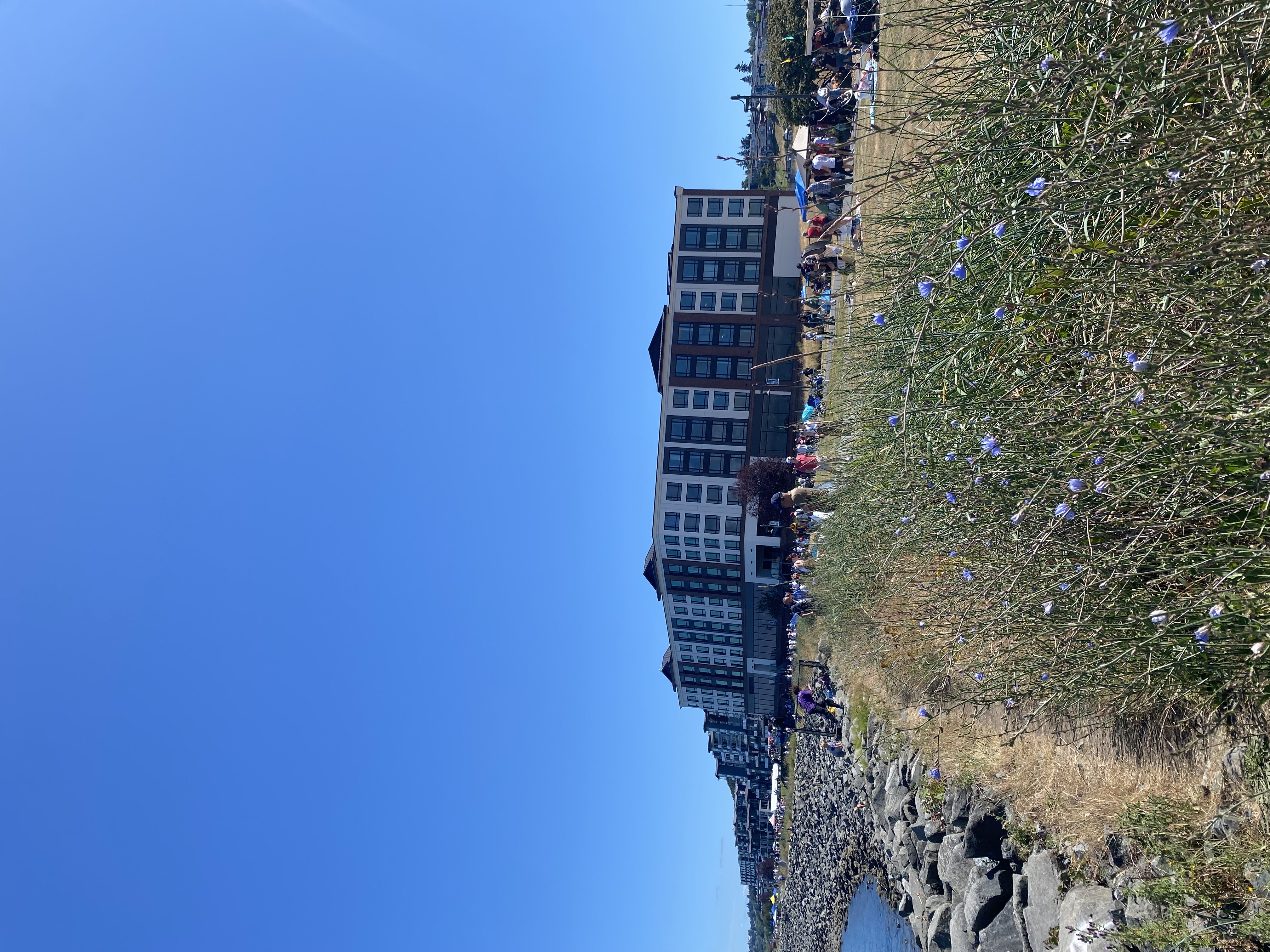 IMG_7493.jpeg