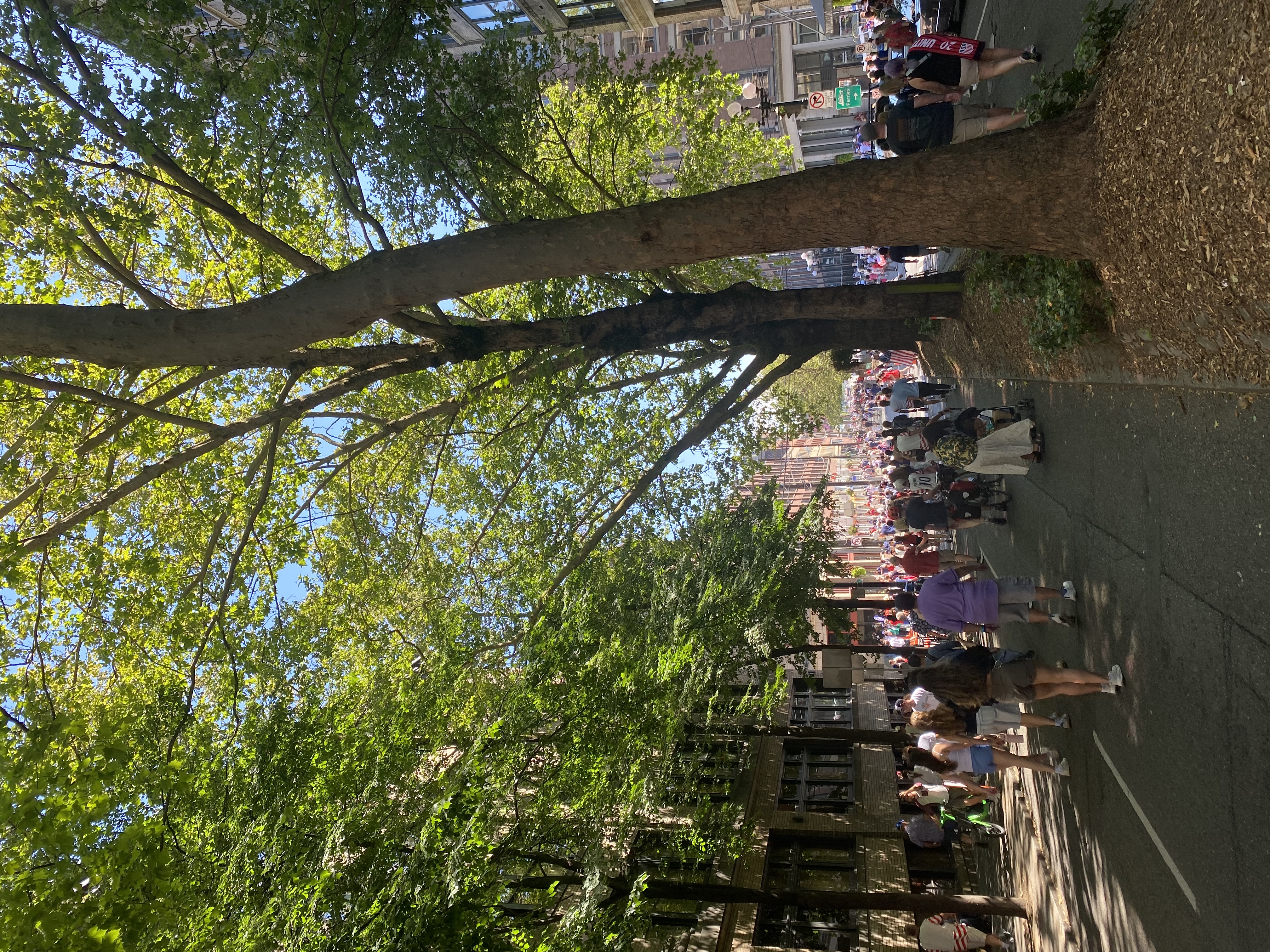 IMG_7535.jpeg