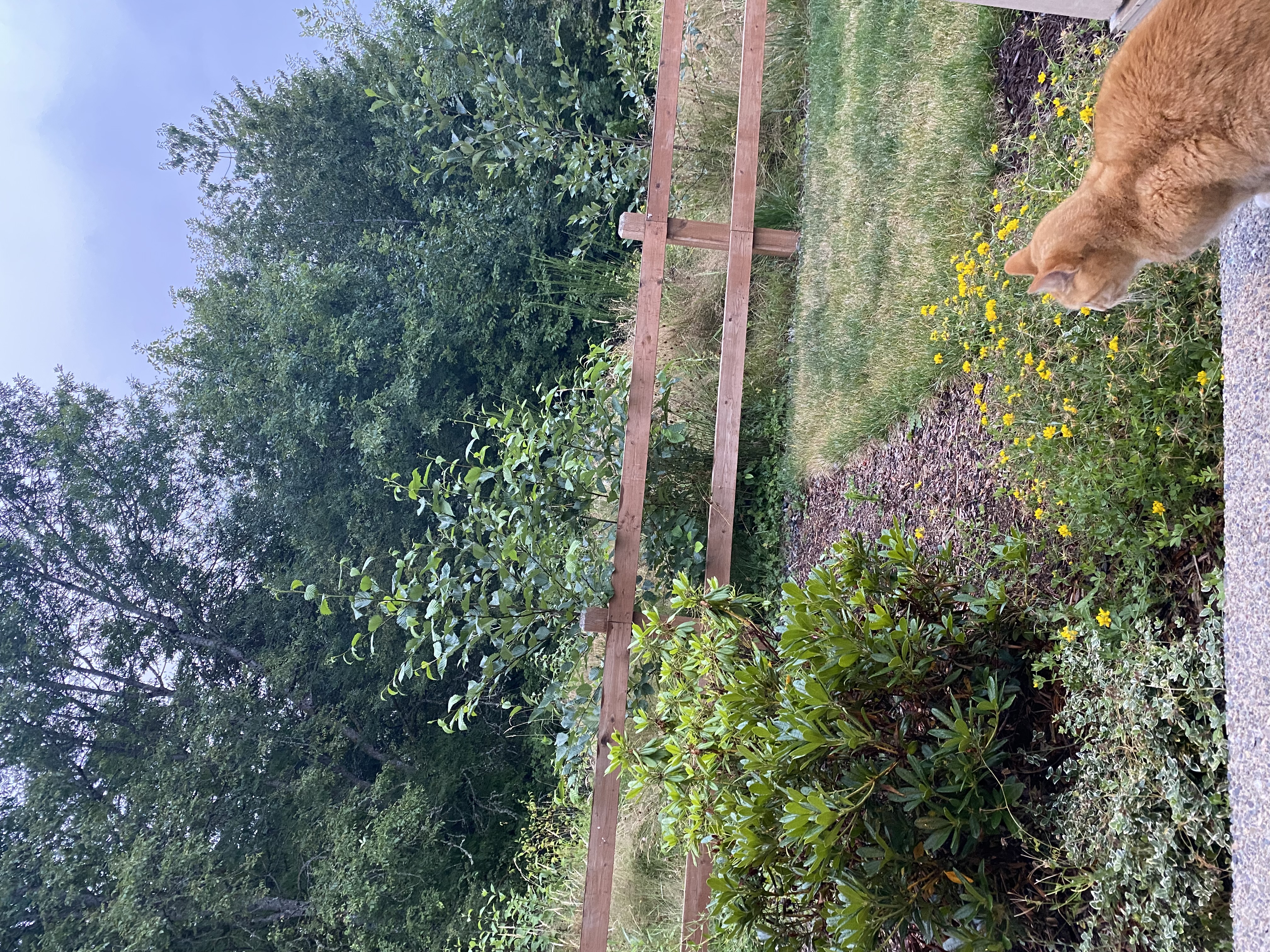 IMG_7624.jpeg