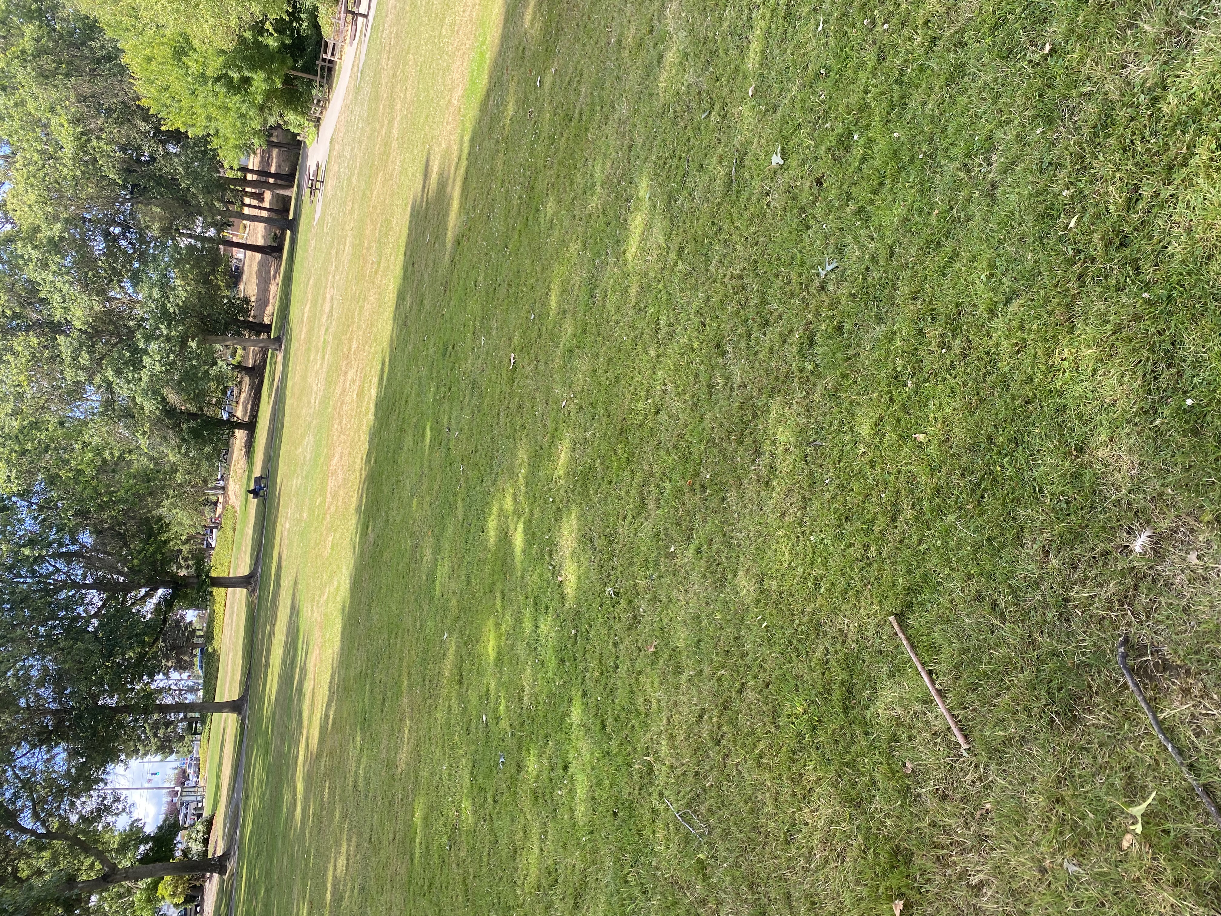 IMG_7671.jpeg