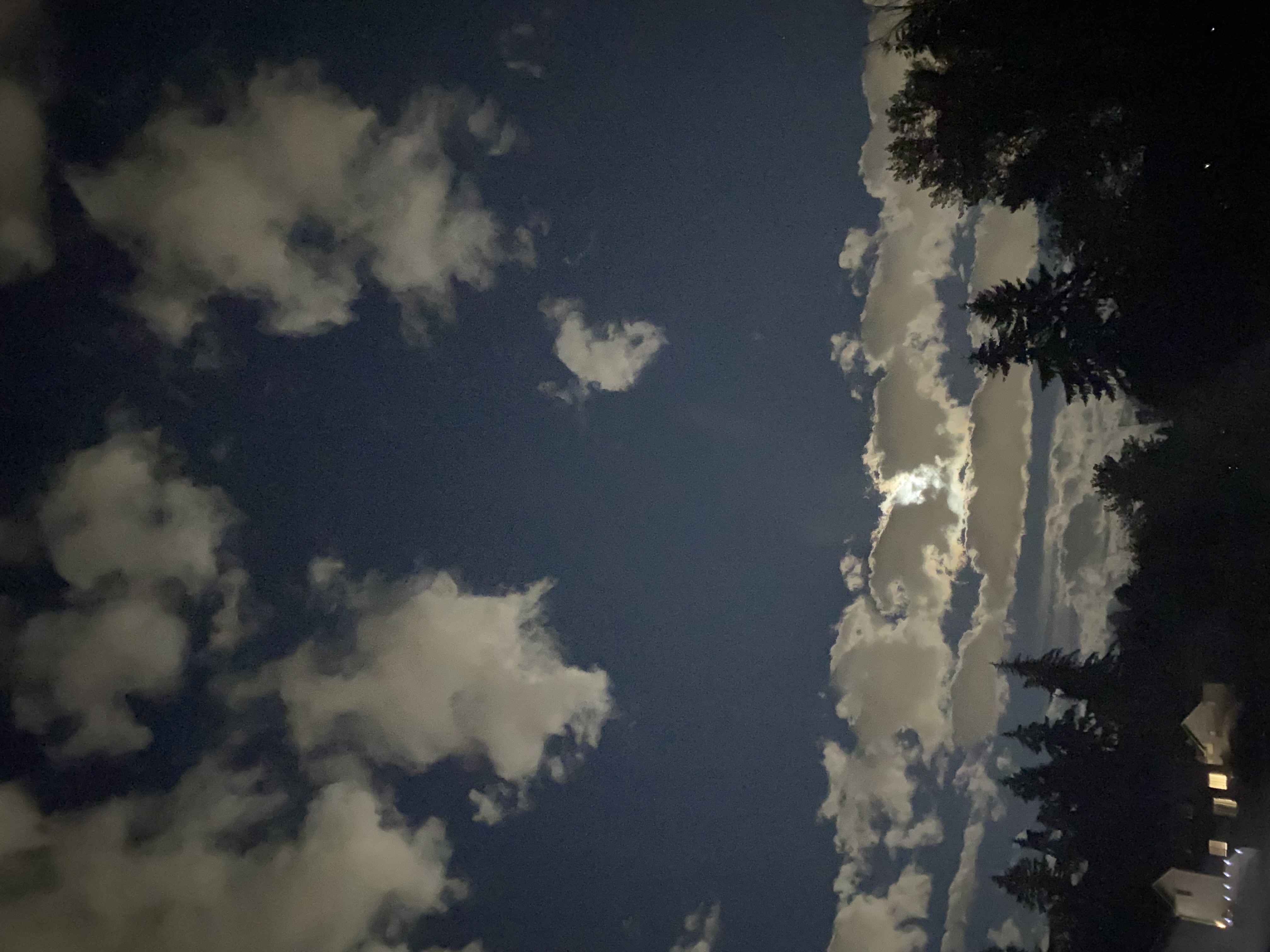 IMG_7727.jpeg