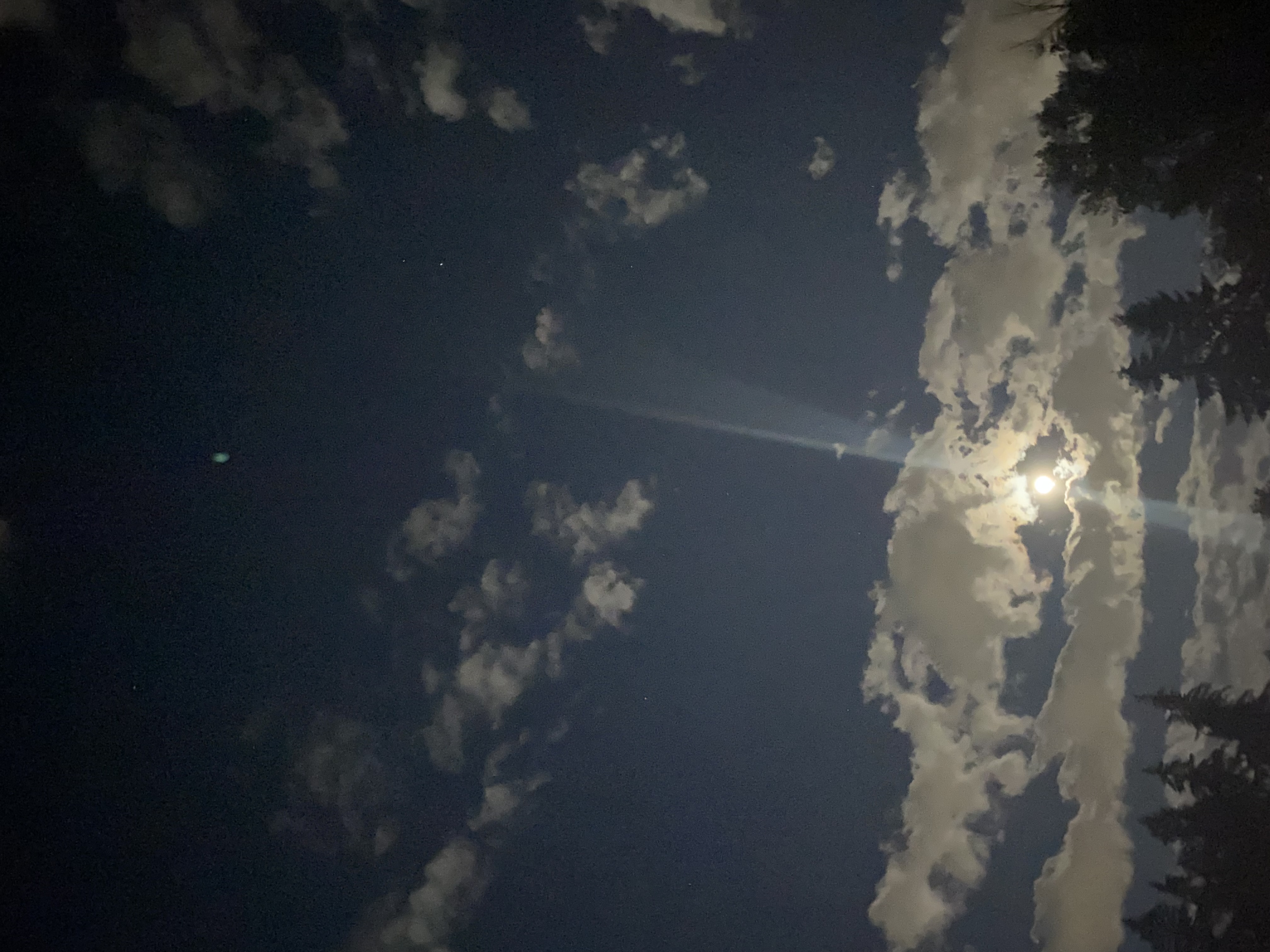 IMG_7730.jpeg