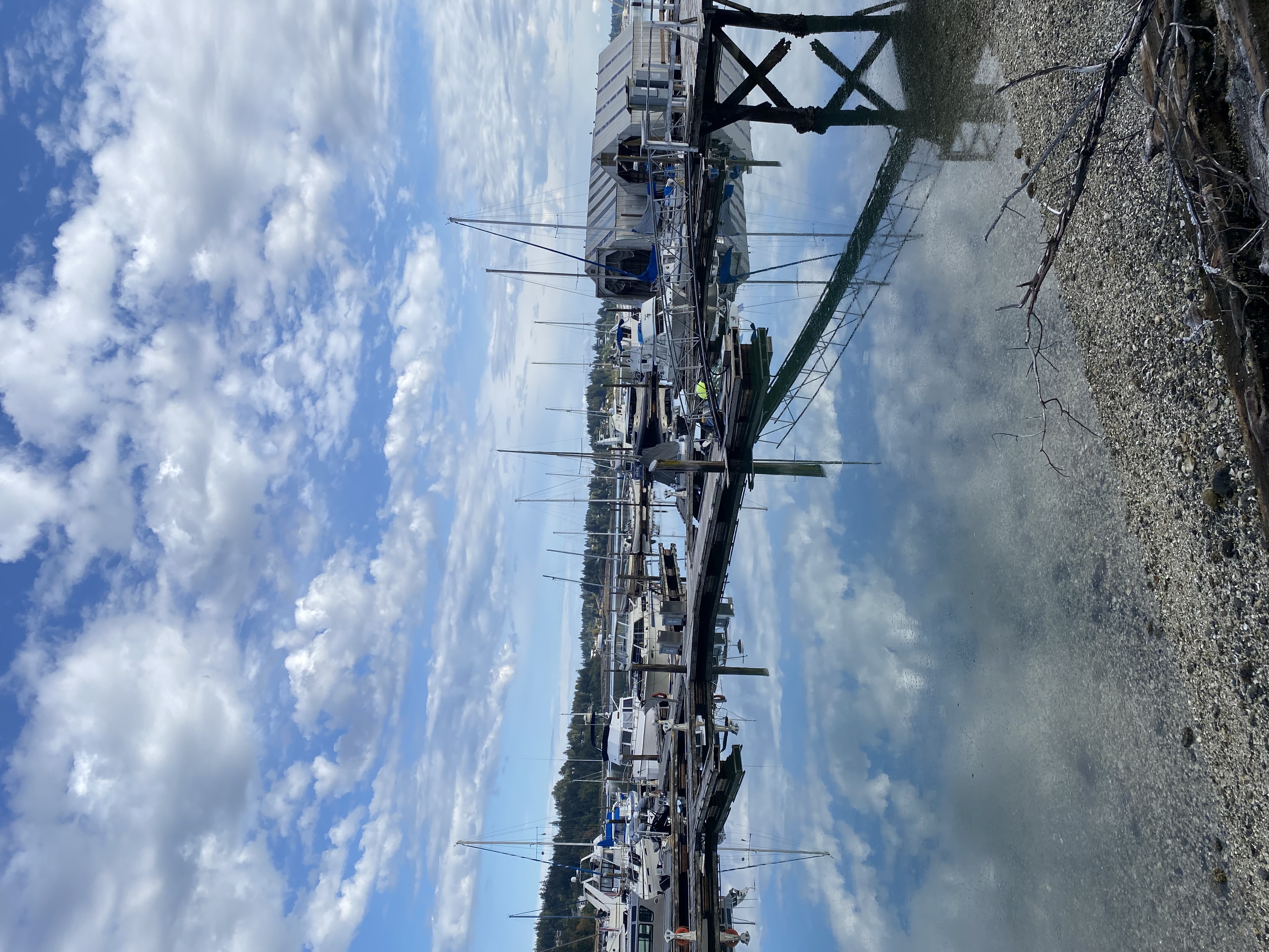 IMG_7783.jpeg