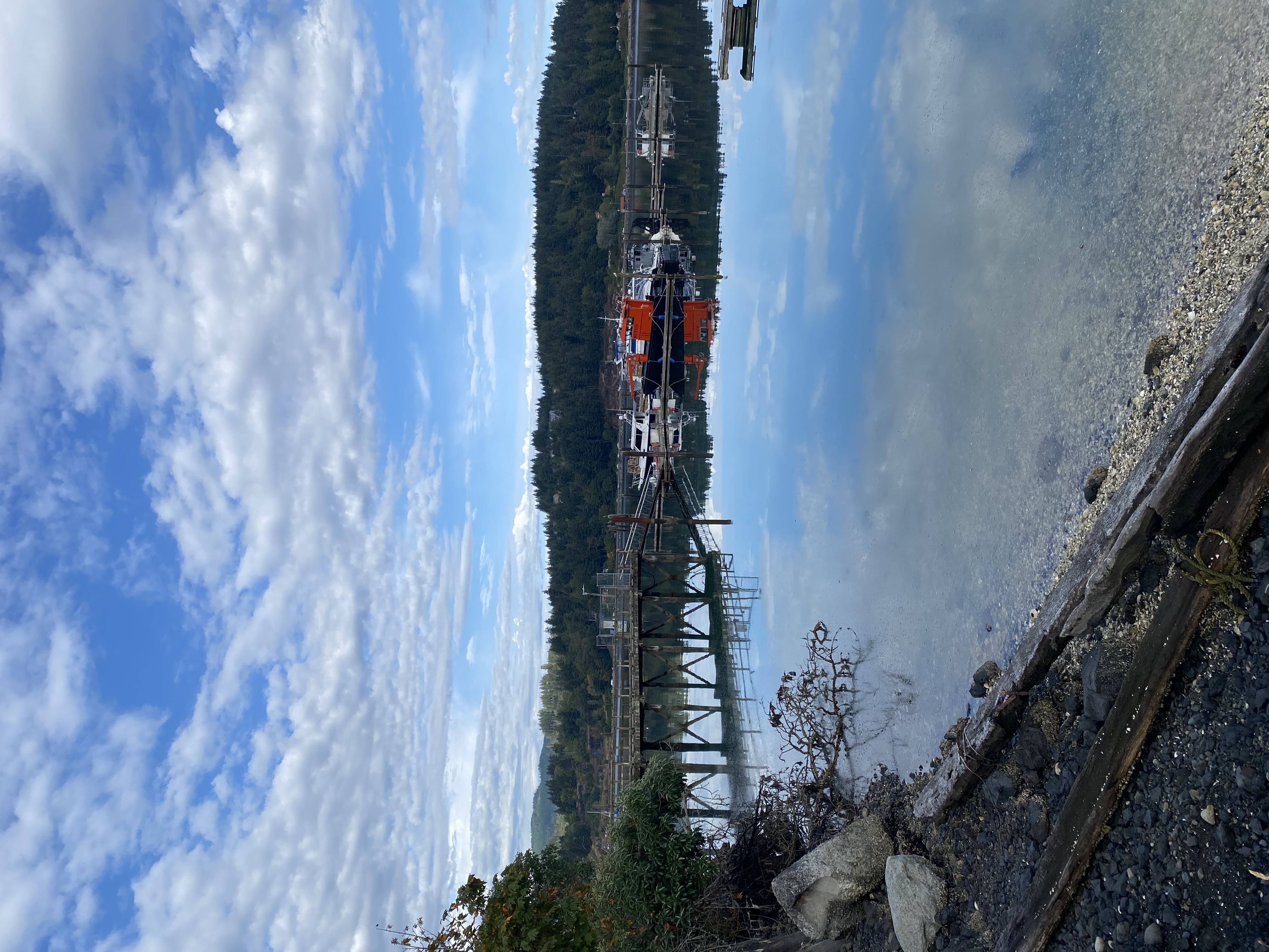 IMG_7782.jpeg