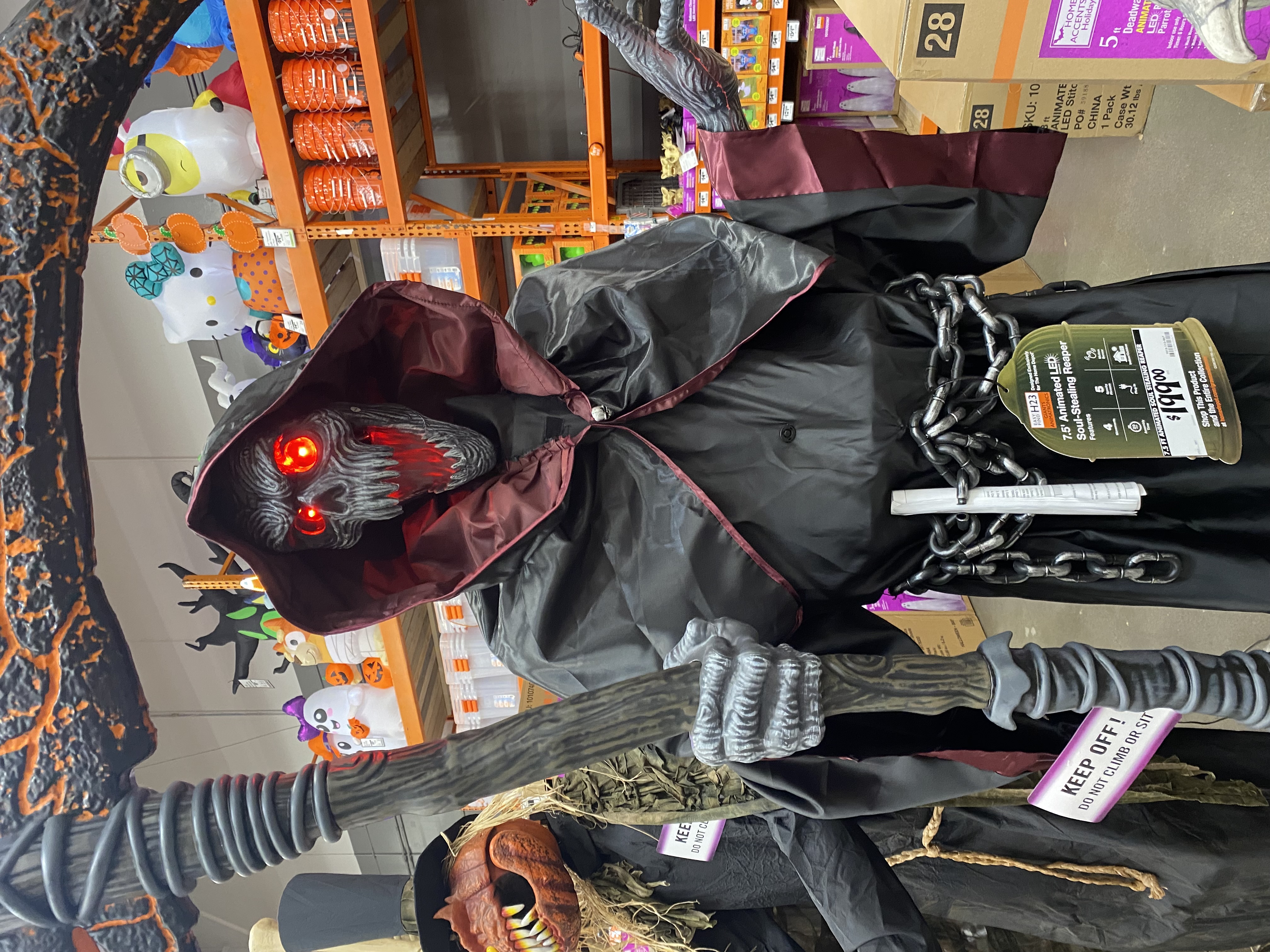 IMG_7791.jpeg