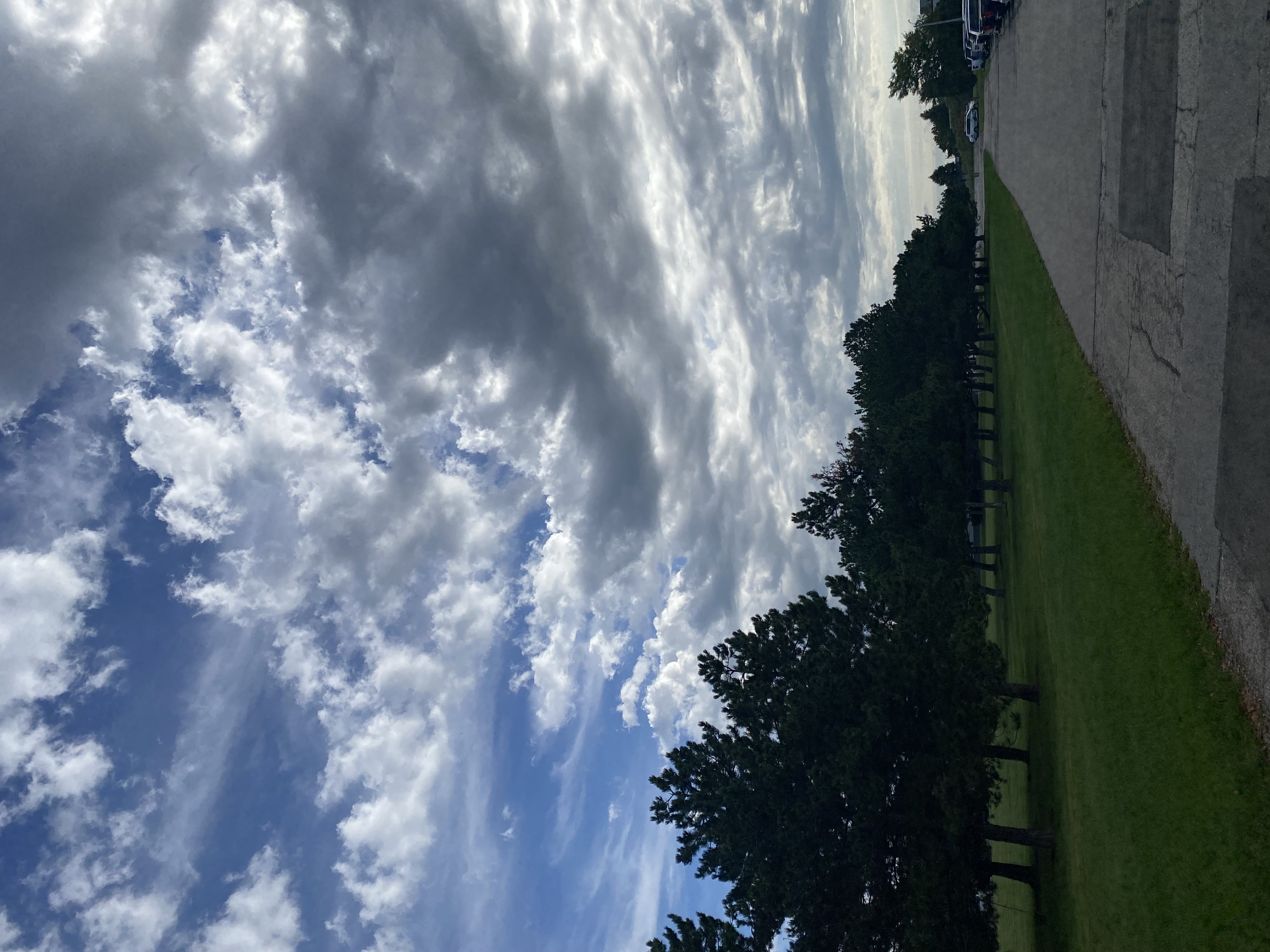 IMG_7807.jpeg