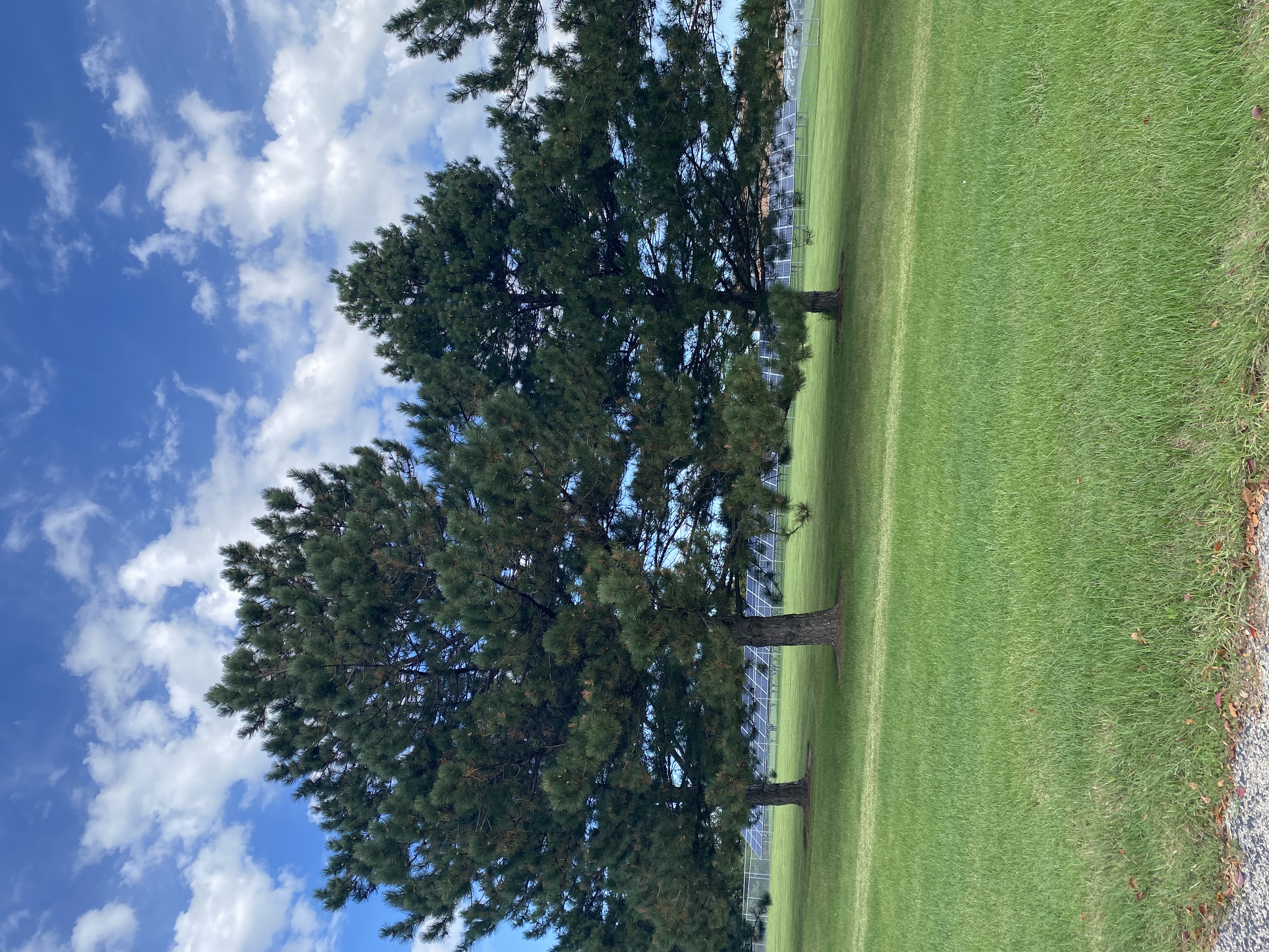 IMG_7808.jpeg
