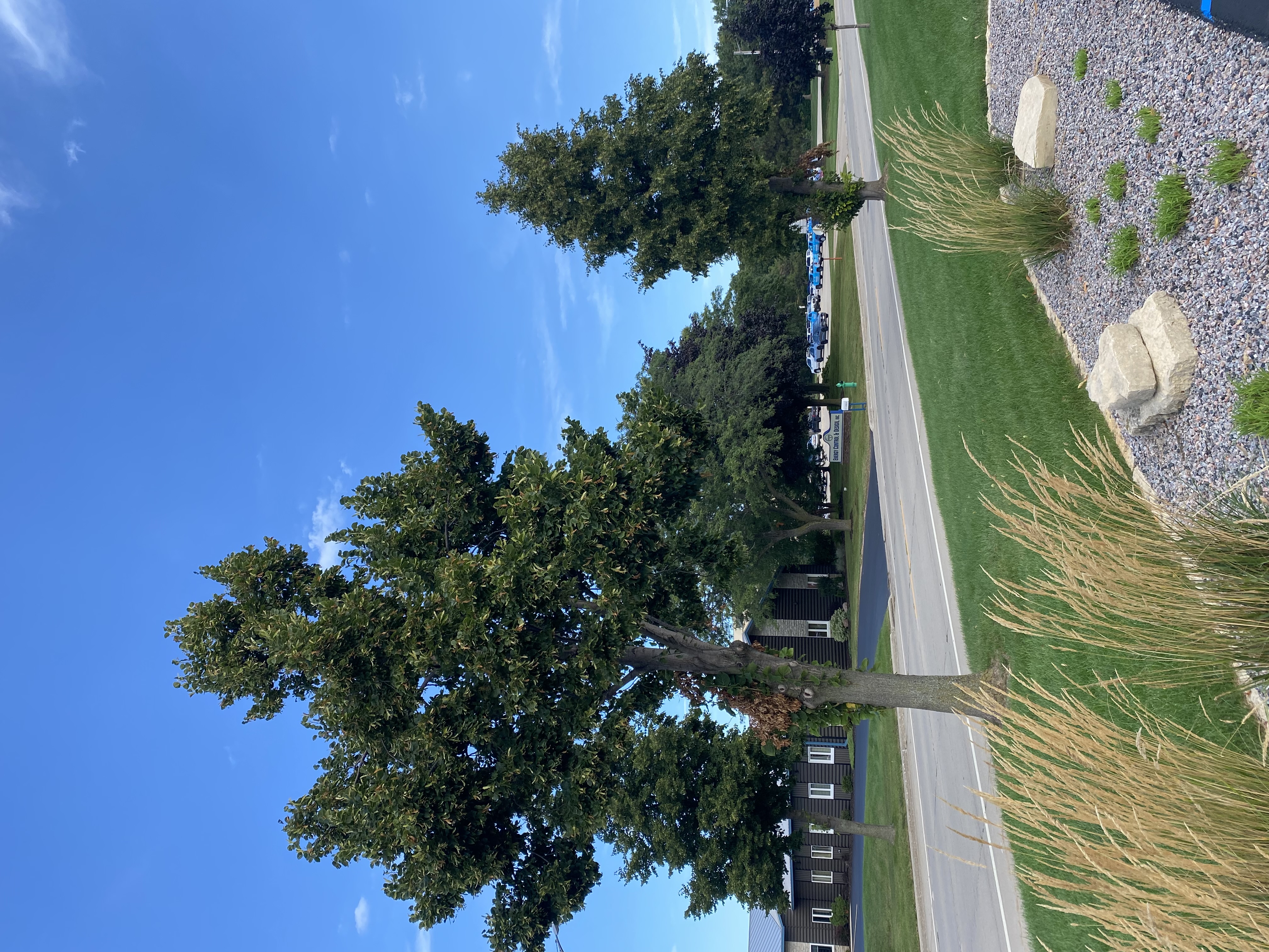 IMG_7809.jpeg