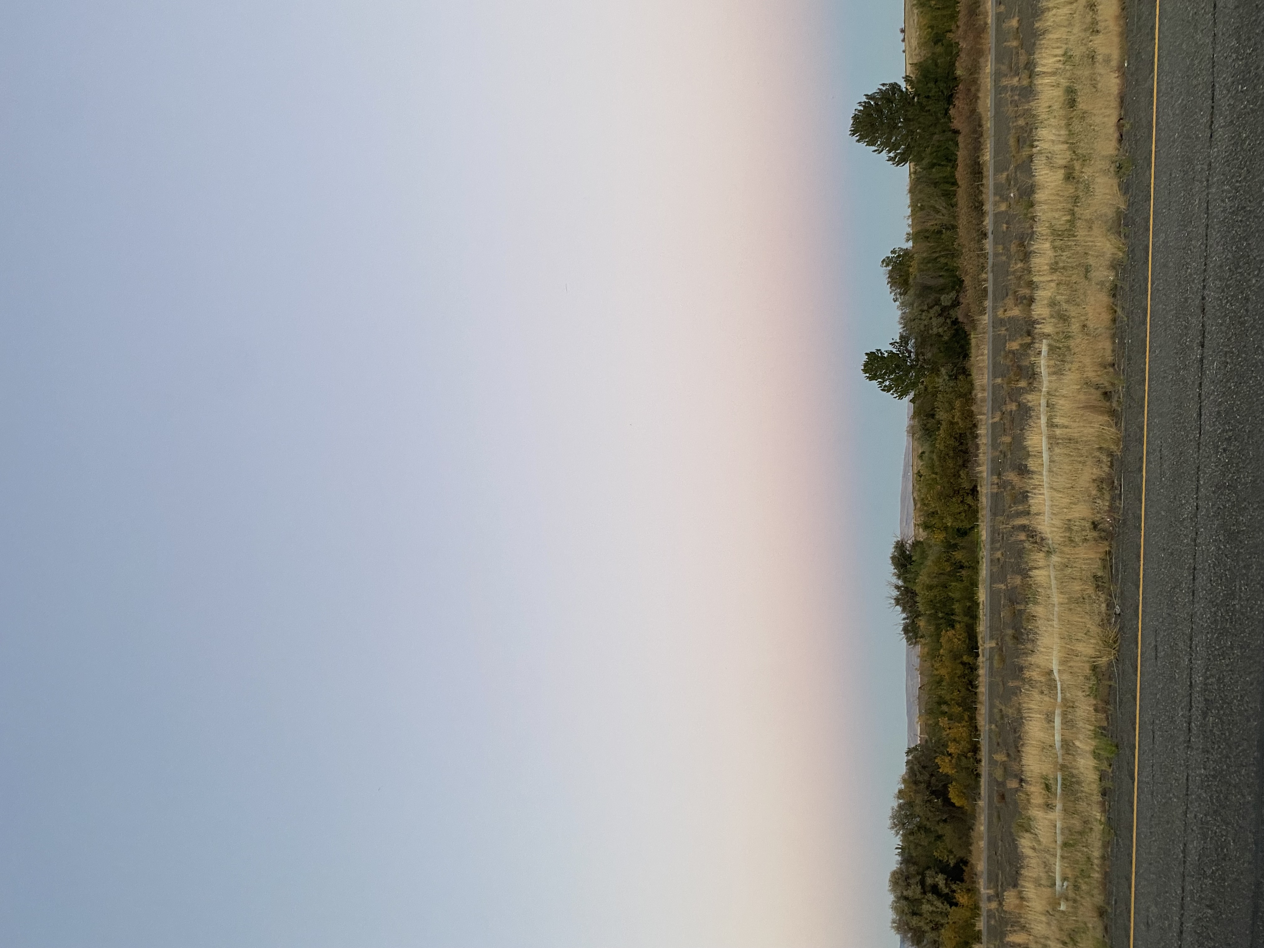 IMG_7873.jpeg