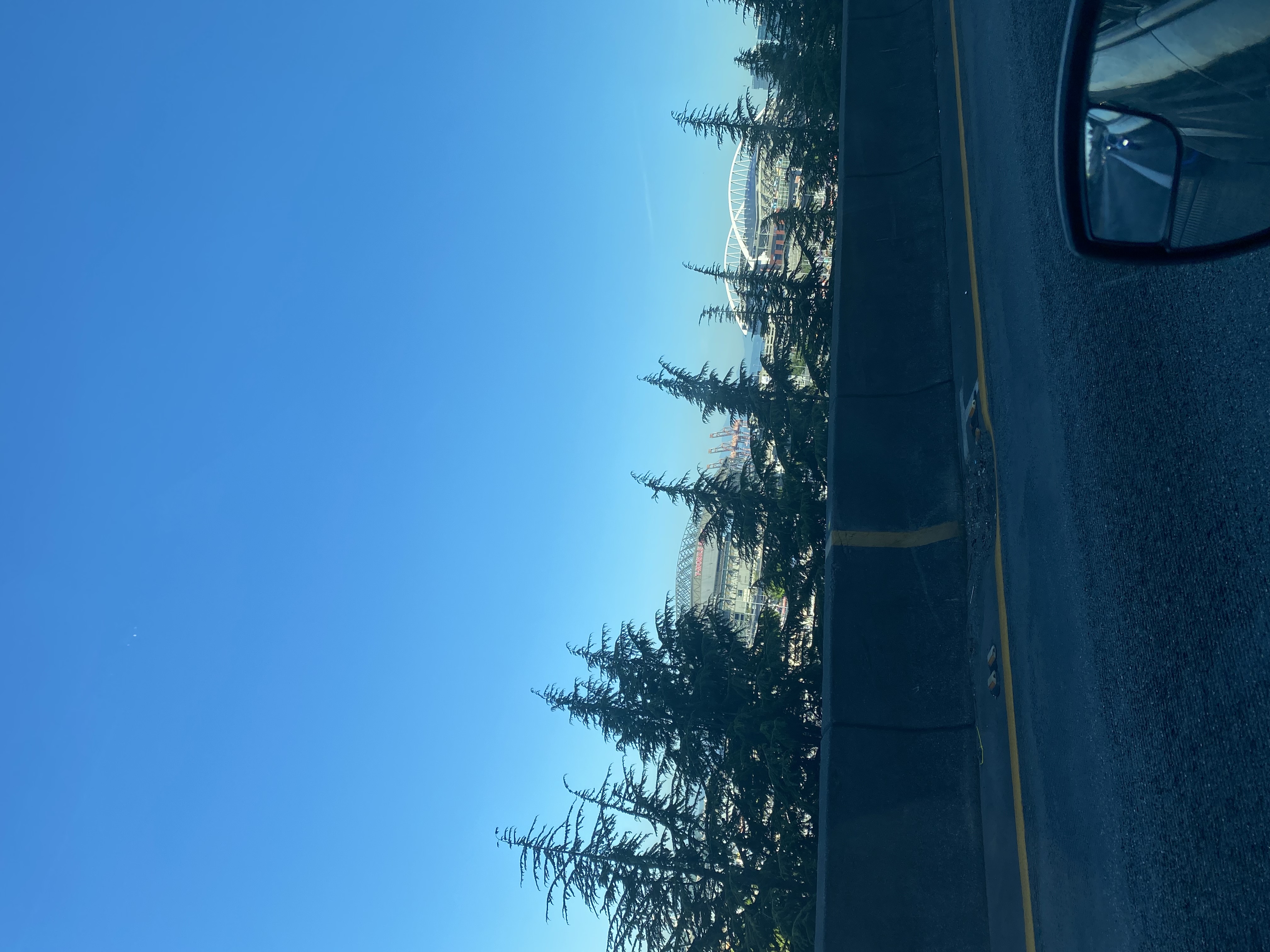 IMG_7349.jpeg