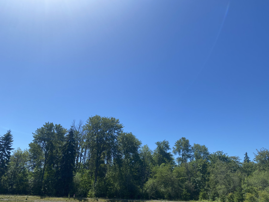 IMG_7246.jpeg